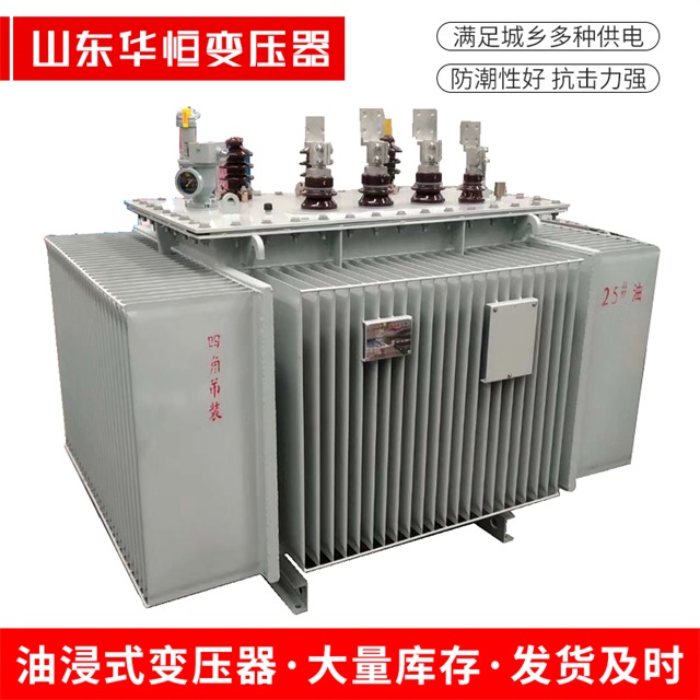 S13-10000/35三河三河三河电力变压器厂家